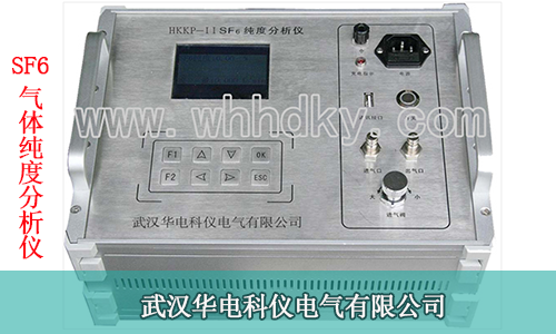 SF6���崿�ȷ����ǹ���|��������